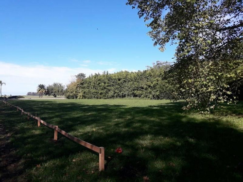 Imagen 12 de 17 de Lotes Premium En Estancia Villa Maria