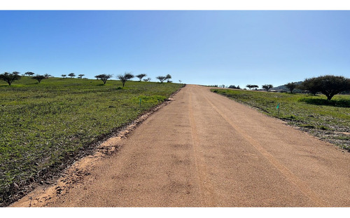 Excelente!! Parcelas De 5.000 M2 Con Rol Propio En "lom