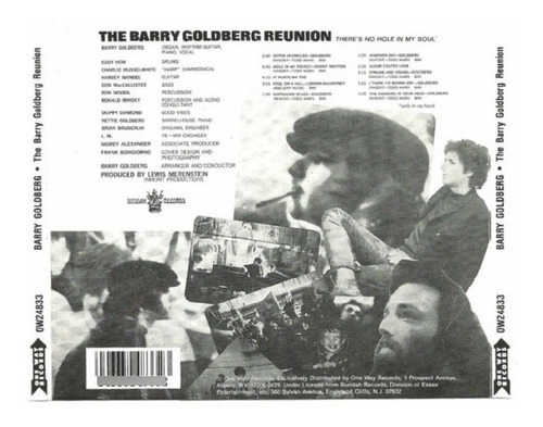 Barry Goldberg - The Barry Goldberg Reunion
