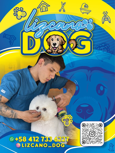 Ofrecemos El Mejor Servicio De Peluquería Canina En Caracas.