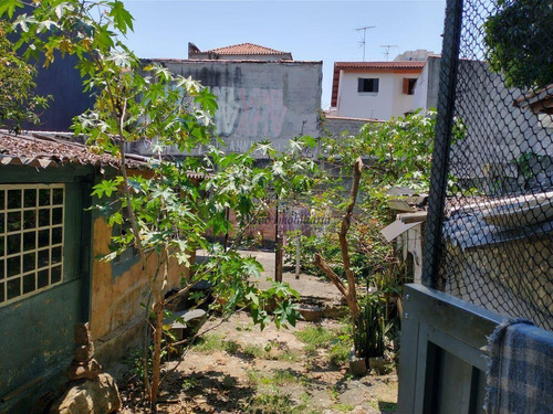 Imagem 6 de 24 de Terreno À Venda, 400 M² Por R$ 850.000,00 - Vila Mazzei - São Paulo/sp - Te0059