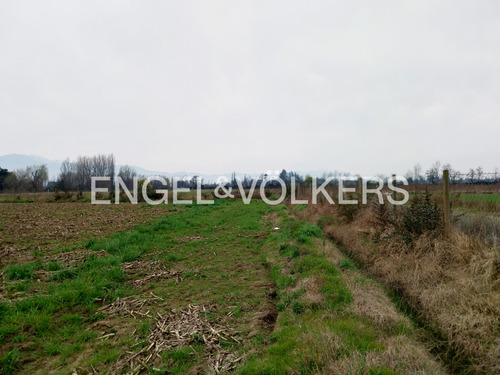 Terreno En La Reserva El Vaticano, Requínoa.