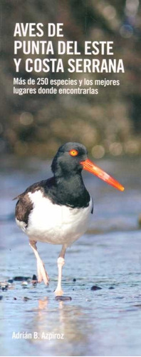 Aves De Punta Del Este Y Costa Serrana - Adrián B. Azpiroz