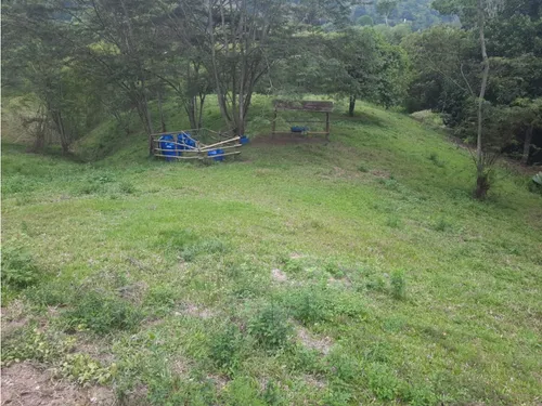 Venta Finca La Tebaida Cultivada En Pasto - 40 Cuadras