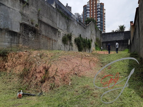 Imagem 3 de 3 de Terreno A Venda Na Vila São Francisco - Te00052 - 70452085