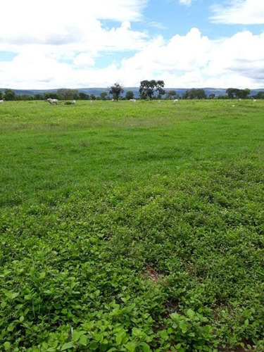 Ótima Fazenda Brasilandia , Terra Vermelha,plana 450 Hectares 3.600,000,00 - 38053