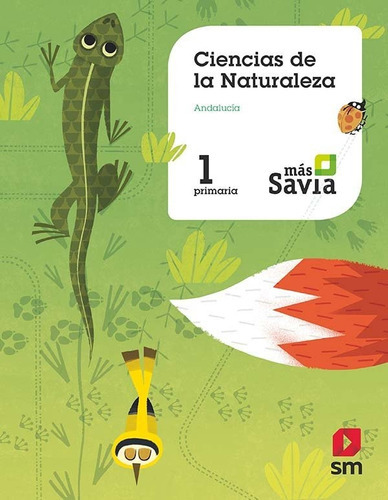 Ciencias de la naturaleza. 1 Primaria. Mas Savia. + Key concepts Andalucia, de Garín Muñoz, Mercedes. Editorial EDICIONES SM, tapa blanda en español