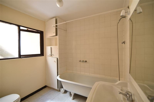 Imagen 18 de 30 de Sitio En Venta En Osorno