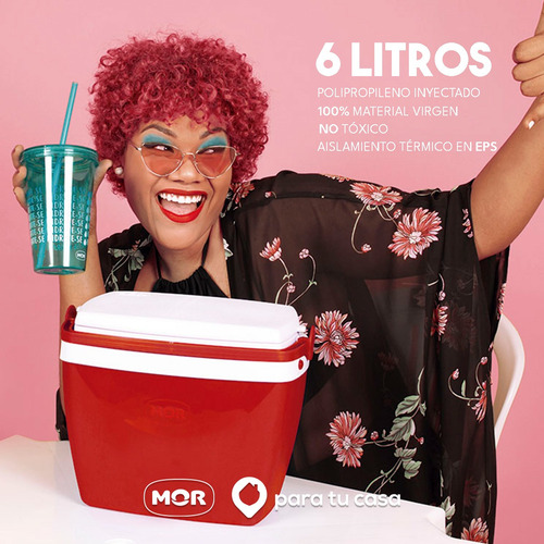 Imagen 7 de 10 de Lunchera Heladerita Conservadora Camping Escolar 6 Lts.