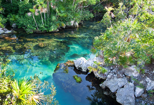 Terreno En Cenote Habitat