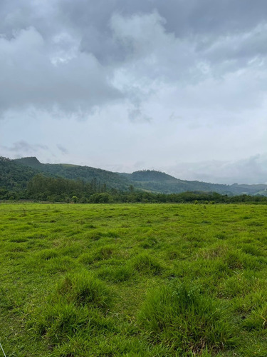 Imagem 8 de 14 de S12- Lotes De 1000m Com Preço Especial