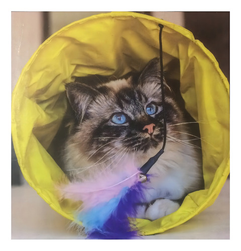 TĂșnel Juguete Gato Simple Tela Plegable Color Amarillo