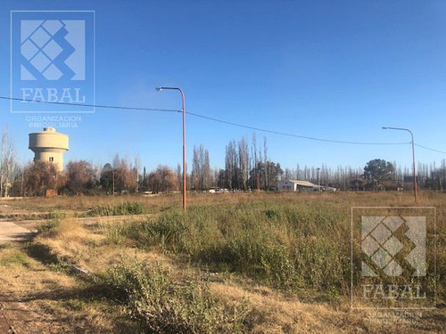 Terreno Venta Los Plátanos, Cipolletti, De 400 M2 Aptos Para Dos Dúplex