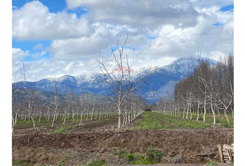 Ven A Disfrutar De La Vida Del Campo En Paine