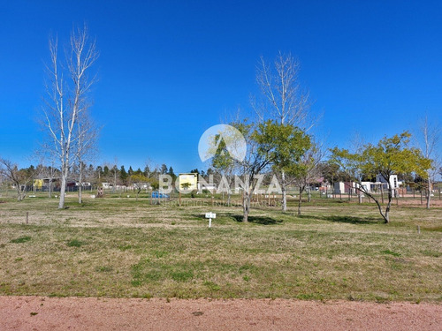 Imagen 4 de 9 de Tierra Calma. Piriápolis. Terrenos En Venta Financiados.