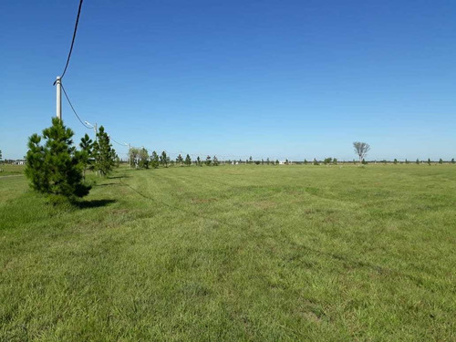 Imagen 3 de 14 de Delpa Vende Lote En Chacras Del Golf