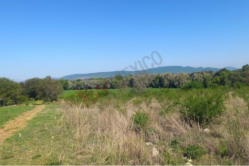 Country Land For Sale In Comonfort, Guanajuato