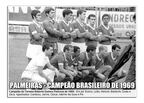 Palmeiras - Campeão Brasileiro 1969 [30x42cm]
