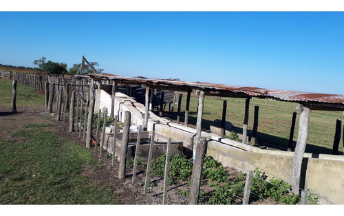 Imagen 13 de 30 de Campo Ganadero 3220 Ha - ( 420 Agrícolas ) Reconquista - Prov. De Santa Fe