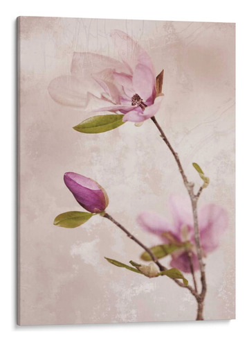 Canvas Lab Cuadro Tulip Blush I 45x60, Christine Zalewski
