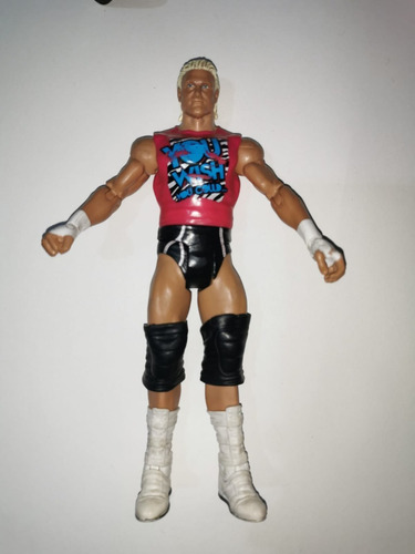 Figura Wwe Muñeco Lucha Libre Luchador Dolph Ziggler M3