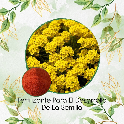 Fertilizante Para El Desarrollo De Canastillo Amarillo