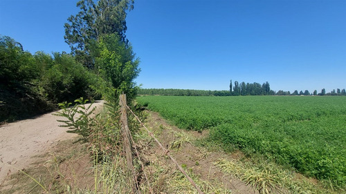 18 Hec Oportunidad Se Vende Terreno Agrícola Retiro Talca