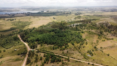 Chacra En Punta Ballena, Maldonado