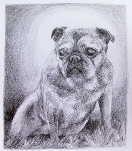 Retrato Hecho A Mano De Tu Mascota A Lapiz O Acrilico