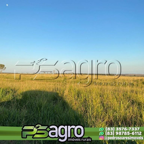 Imagem 3 de 8 de Fazenda À Venda, 1.500 Alqueires Por R$ 48.000.000 - Zona Rural - Chapadão Do Sul/ms - Fa0170