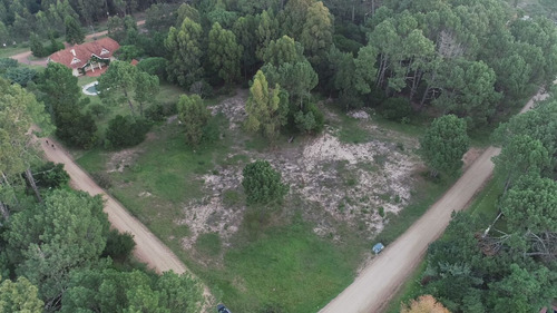 Imagen 4 de 8 de Vende 1.400 M2 Lote Para Construir 4 Casas Pinares Burnett