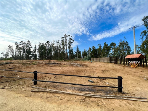 Proyecto Terrenos De 5.000 M2 En Venta - Matanzas