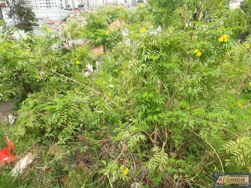 Imagem 10 de 15 de Terreno À Venda, 788 M² - Vila Moreira - Guarulhos/sp - Ai12044