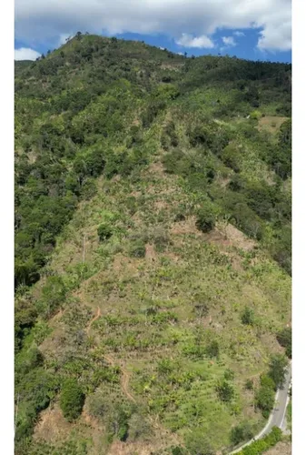 Finca Cafetera En Venta En Andes - Antioquia