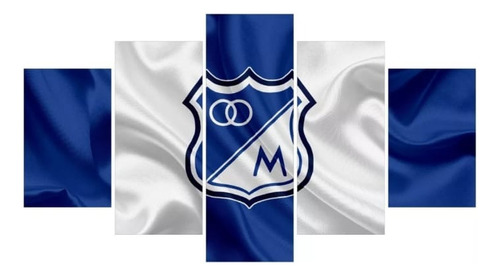 Cuadros Decorativos Modernos Equipo De Fútbol Millonarios Fc