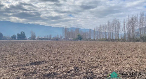 Venta 11 Hectreas, Proyecto San Jose De Toro, Nancagua