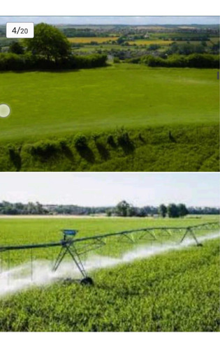 Imagem 5 de 6 de Fazenda Com Frigorífico Estado Da Bahia