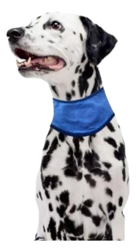 Bandana Refrescante Para Perros Talla Xl  (50-62cms)