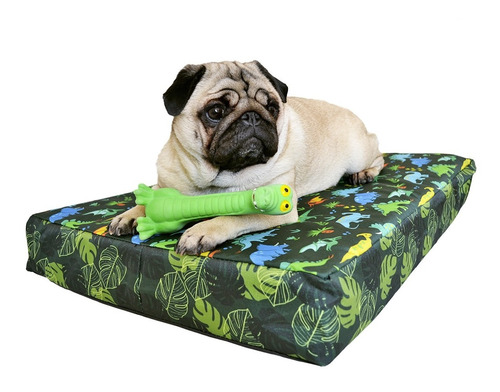 Imagen 1 de 8 de Cucha Perro Cama Para Perros 50x80 Espuma Dino