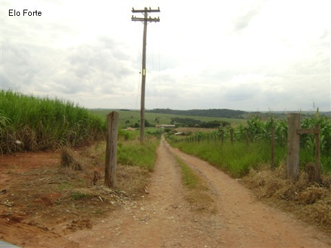 Imagem 2 de 18 de Sitio A Venda, Sitio São Luiz, Elias Fausto - St00044 - 1818833