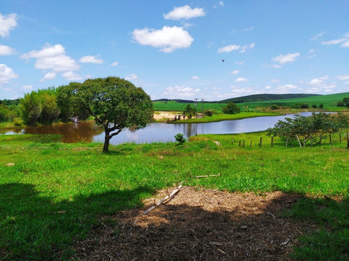 Imagem 3 de 30 de Chácara 30.000m2,casa Sede E Caseiro,pomar,chiqueiro,curral,churrasqueira,piscina,salão,tanque Pesca,galinheiro,quarto Ferramentas,cercado,escriturada - Ch00092 - 69588354