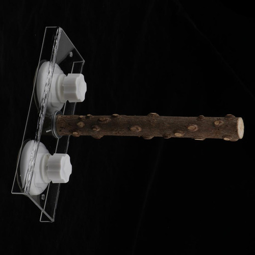 Percha De Para Pájaros Con Ventana De Libre Los 25cm