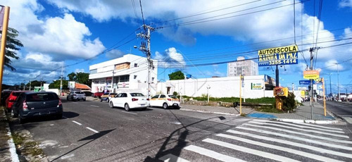 Imagem 5 de 6 de Terrenos - Ref: L1514