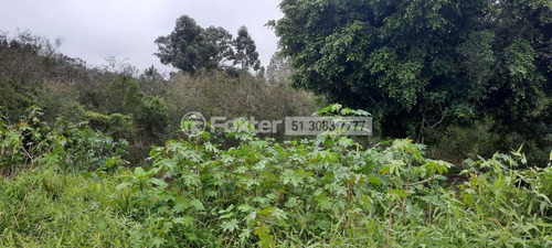 Imagem 4 de 5 de Terreno, 30204.67 M², Lageado - 207412