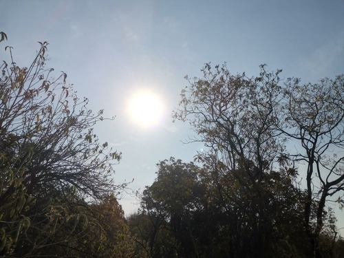 Imagen 6 de 6 de 2 Lotes Escriturados En Tepoztlán Morelos