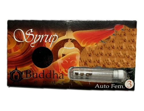 Semilla Auto Syrup Buddha Seeds X3