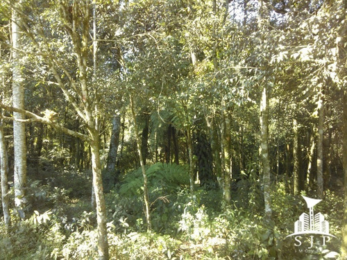 Chacara - Ch00002 - 32291847