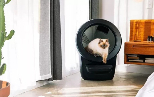 Litter Robot 4 Caixa De Areia Automática