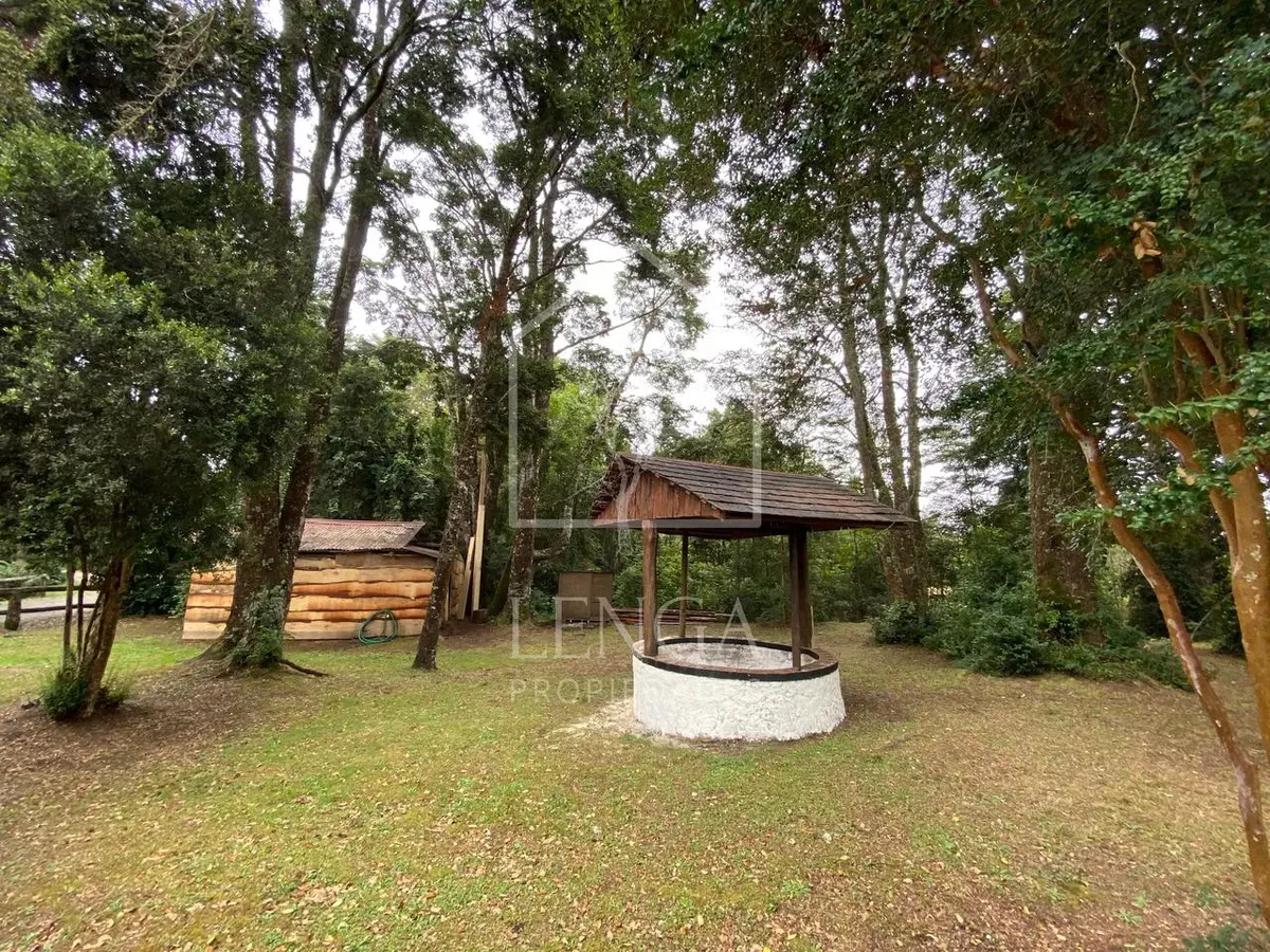 Imagen 5 de 20 de 3,1 Ha Con Cabaña A 700m De Hallazgo Arqueológico Monteverde