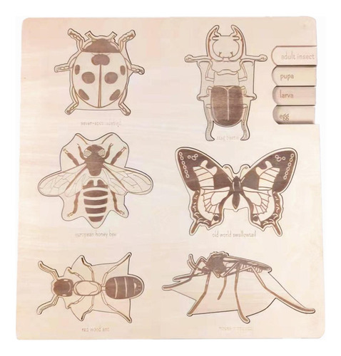 Rompecabezas De Madera Juguete Inteligencia Desarrollo Ciclo